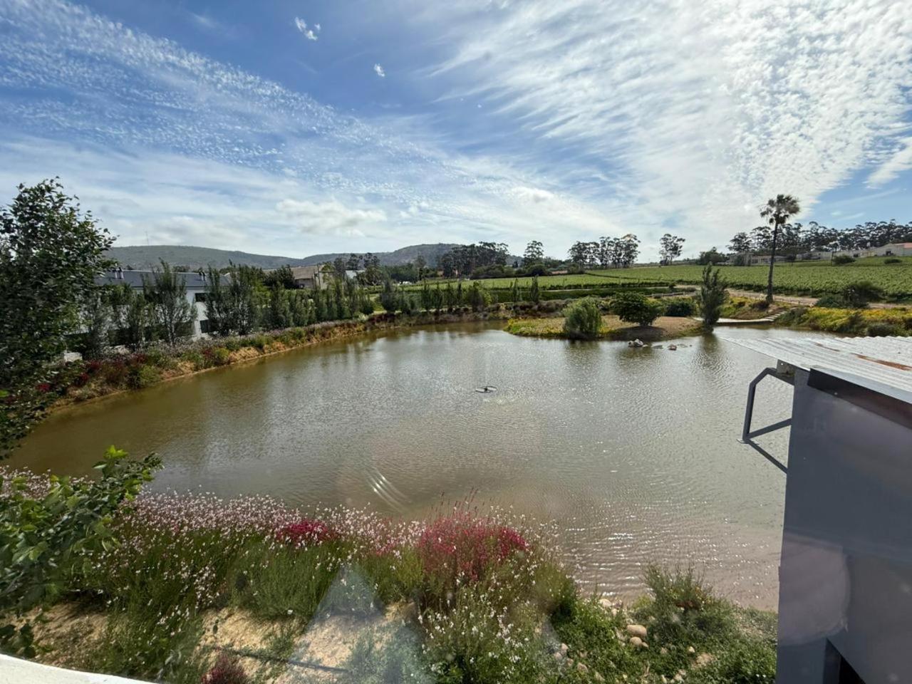 Middelplaas Paarl Guesthouse Екстер'єр фото