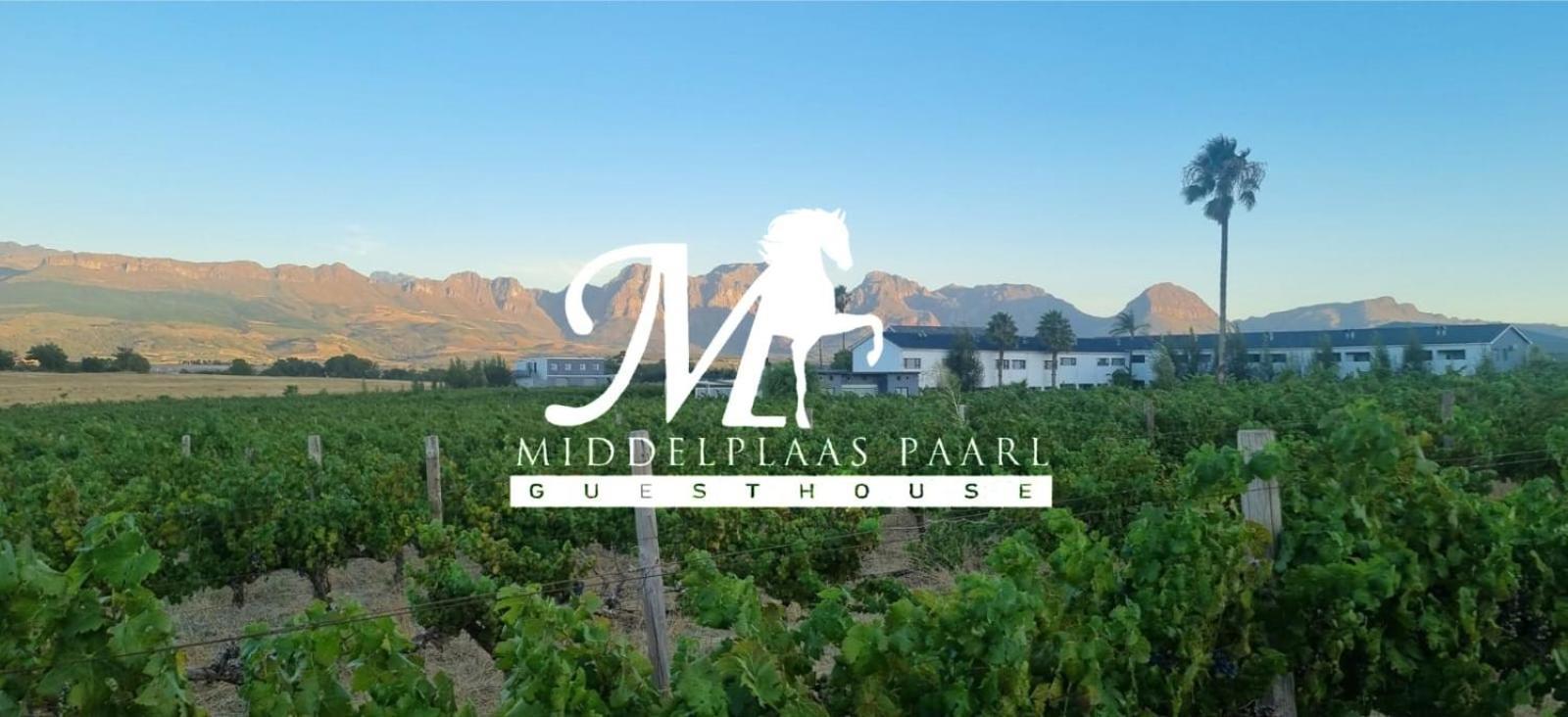 Middelplaas Paarl Guesthouse Екстер'єр фото